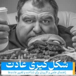 عادت‌های فردی